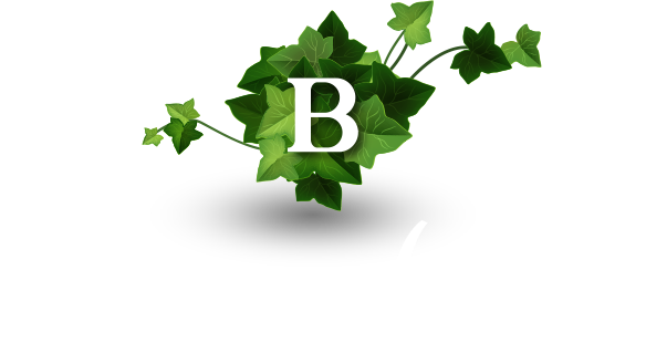 Bremhoef